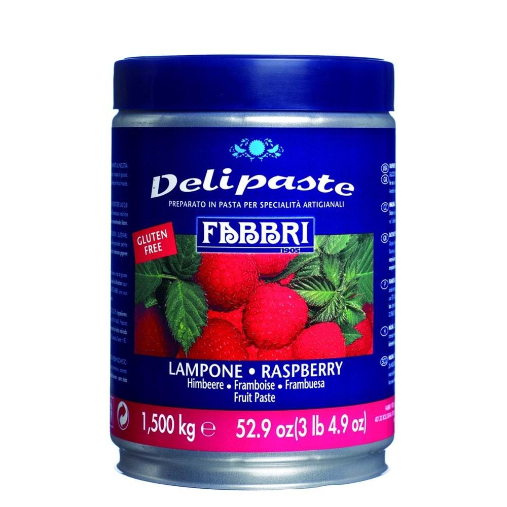 CSM FABBRİ DELİPASTE FRAMBUAZ 1,50 KG